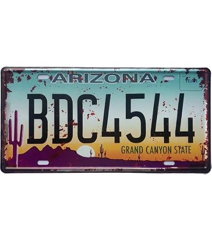 Amazon.com: Arizona License Plate Aluminum Novelty Car Decor